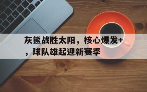 b体育官网-灰熊 队